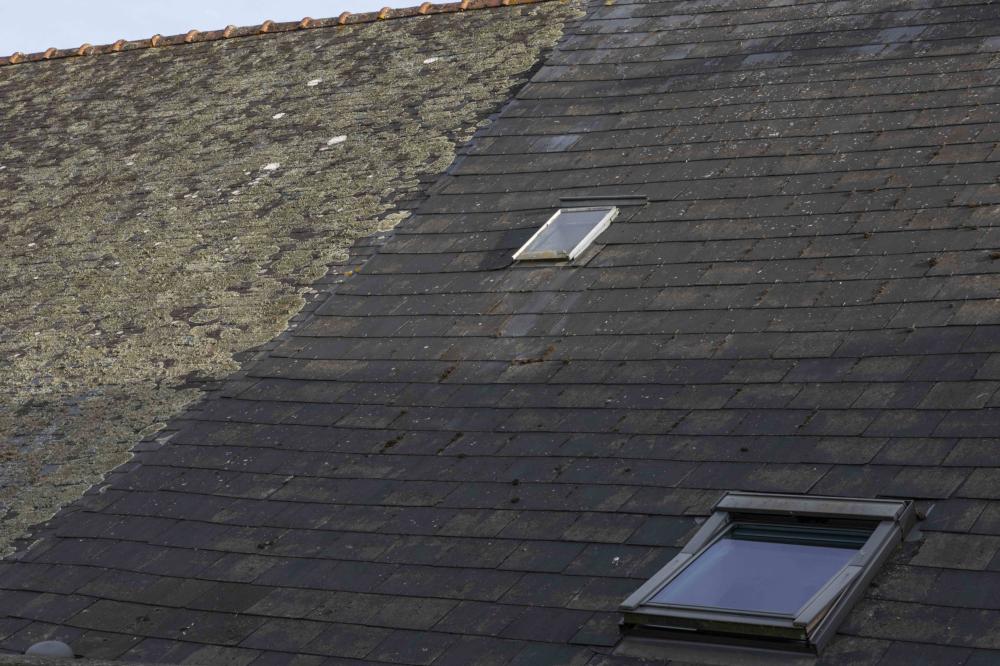 démoussage de toiture près de Saint-Georges-du-Bois